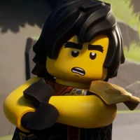 Ninjago- Cole Bucket