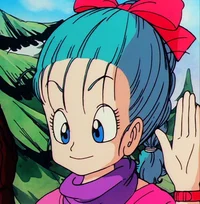 Bulma-2