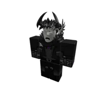 Robert Void