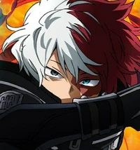 Shoto Todoroki 