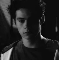 Stiles Stilisnki