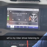 Golden Retriever bsf