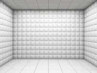 Countryhumans Asylum