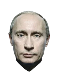 V V Putin