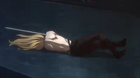 sjsnonoss