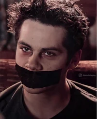 Void Stiles
