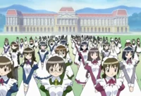 your maids
