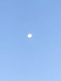 Perfect Town - Bokes