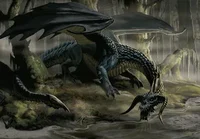 Black Dragon in DnD