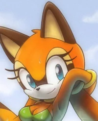 Marine The Raccoon