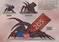 Bin Spider