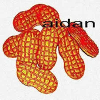 aidan