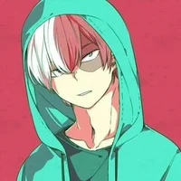 Shoto Todoroki 