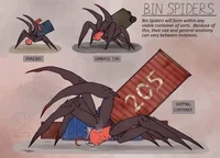 Bin Spider Queen