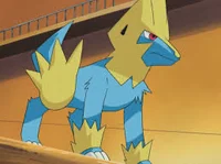 Manectric BF