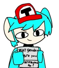 What gender are you-