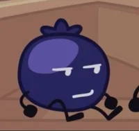 Blueberry II