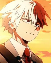 Shoto Todoroki