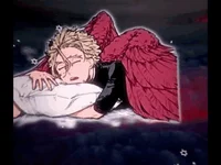 Hawks