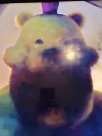 Nightmare bear