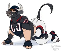 NFL Mascot TF