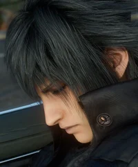 Noctis Lucis Caelum