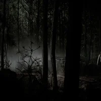 THE MIKAELSON FAMILY