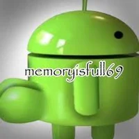 memoryisfull69