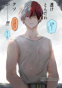 Shoto Todoroki 