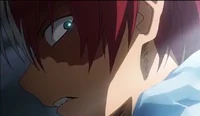Shoto Todoroki