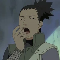 Shikamaru Nara