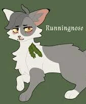 Runningnose