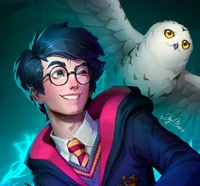 HP Harry Potter