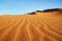 Sahara background 