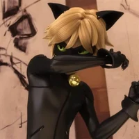 Chat Noir