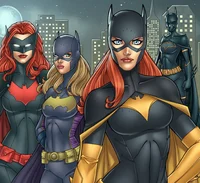 Batgirl Harem