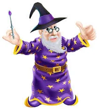 Wizard guy