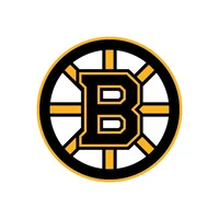 Boston Bruins