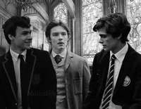 The Slytherin Boys