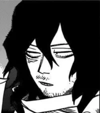 MHA Shota Aizawa