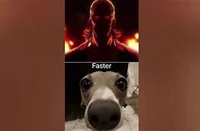 PACKGOD And Veshremy