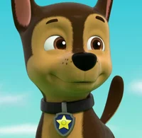 PAW Patrol Chase