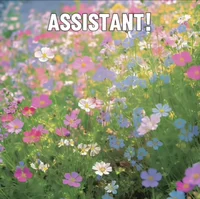 Cherry Blossom Group