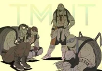 TMNT bayverse