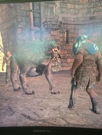 Good caragor trainin