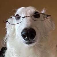 Perrito con lentes