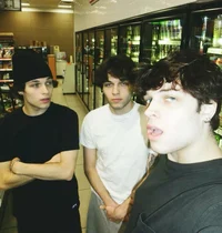 Sturniolo triplets