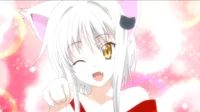 Koneko