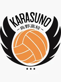 Karasuno Team