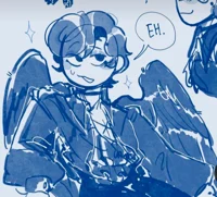 Raven wally 